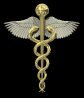 caduceus_fly_md_blk.gif